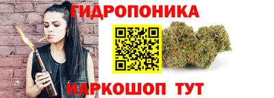 шишки Волжск