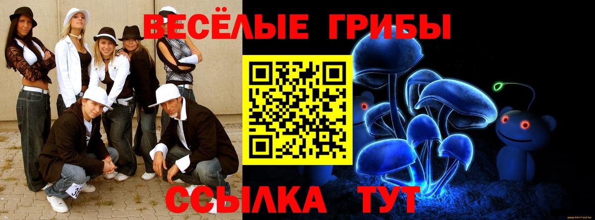 Псилоцибиновые грибы Cubensis Можайск